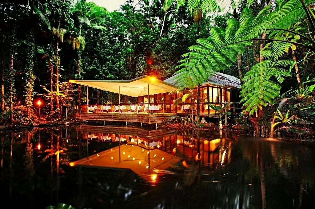 The restaurant at Daintree Eco Lodge at dusk, lit over its rainforest lagoon among the tree ferns