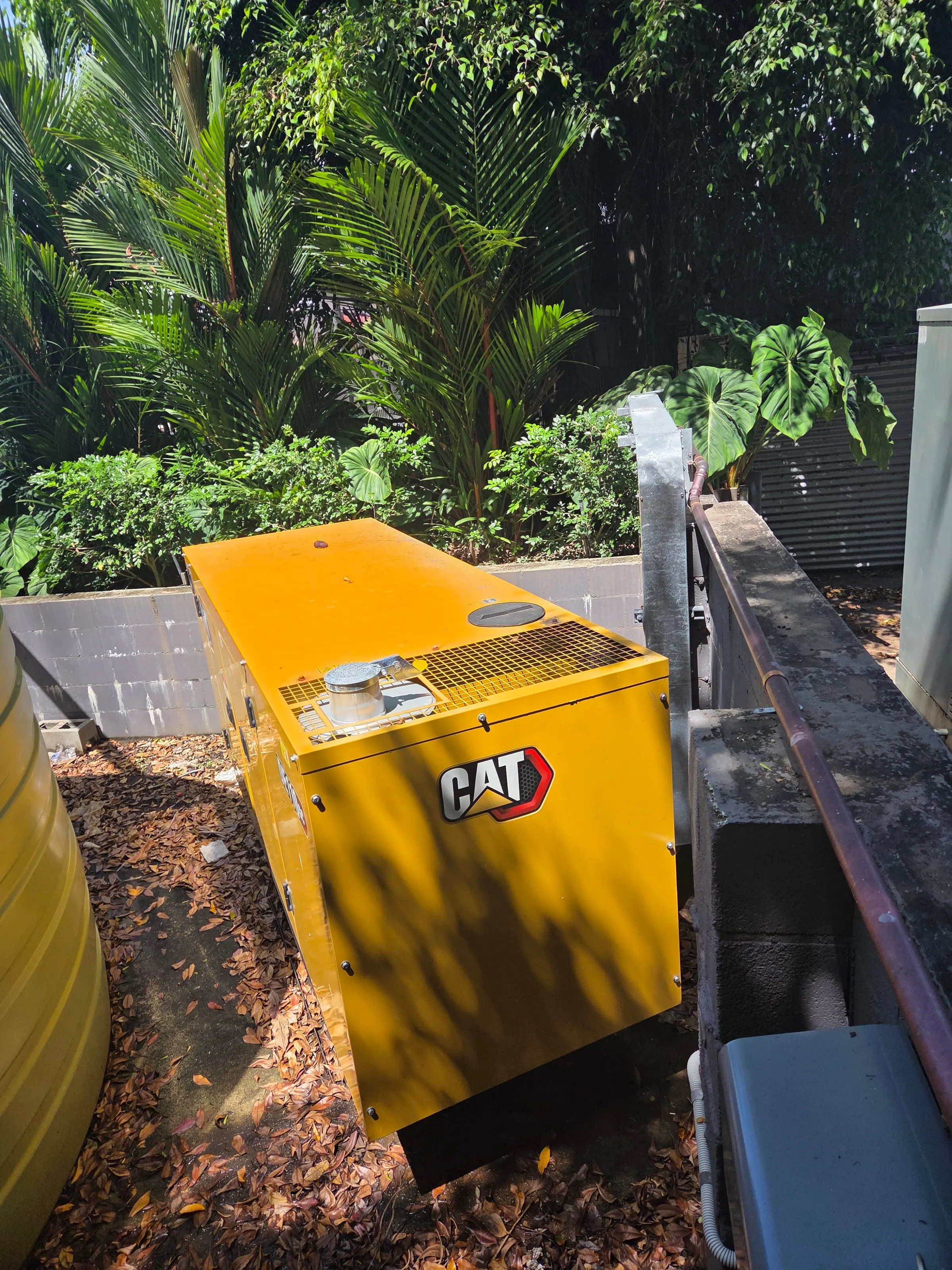 The 110kVA backup generator shared by Rattle and Hum and Global Backpackers, Port Douglas, between a block wall and a water tank, garden palms behind